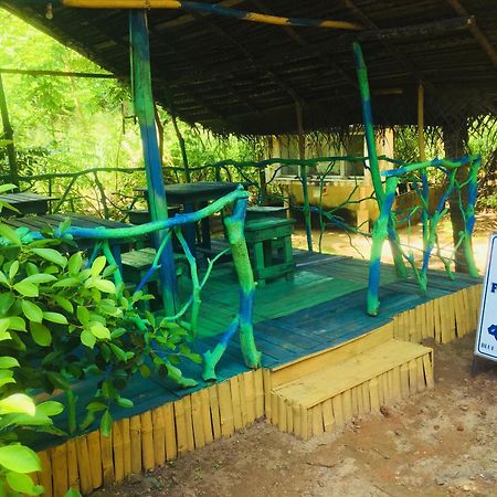 Penzion Seasons Four Eco Friendly Treehouse Matara Exteriér fotografie
