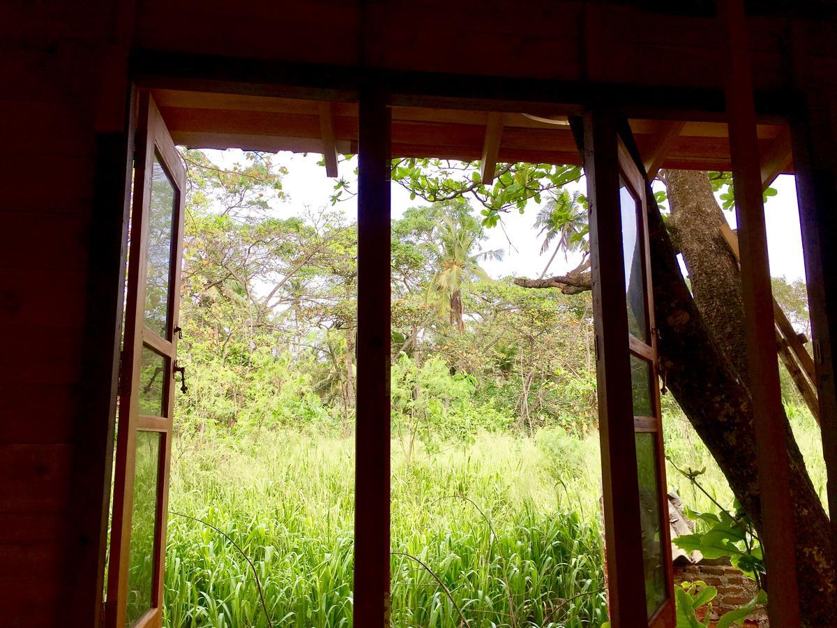 Penzion Seasons Four Eco Friendly Treehouse Matara Exteriér fotografie